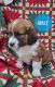 Mixed Puppies for sale in Alta Vista, Iowa. price: $30