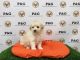 Mixed Puppies for sale in Temple City, CA, USA. price: NA