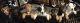 Mixed Puppies for sale in Gloversville, NY, USA. price: NA
