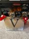 Morkie Puppies for sale in The Colony, TX, USA. price: $1,000