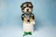 Morkie Puppies for sale in Agoura Hills, CA, USA. price: NA