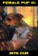 Mountain Cur Puppies for sale in Columbus, OH, USA. price: NA