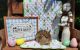 Netherland Dwarf rabbit Rabbits for sale in Salisbury, NC, USA. price: NA