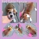 Old English Bulldog Puppies for sale in New Washington, OH 44854, USA. price: NA