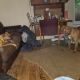 Old English Bulldog Puppies for sale in 2401 Territorial Rd, Benton Harbor, MI 49022, USA. price: $500