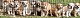 Olde English Bulldogge Puppies for sale in Auburn, Alabama. price: $1,500