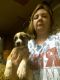 Other Puppies for sale in Spokane, WA, USA. price: NA