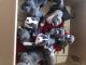 Other Puppies for sale in Hallandale Beach, FL 33009, USA. price: NA