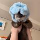 Otter Animals for sale in St. Louis, MO, USA. price: NA