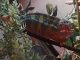 Panther Chameleon Reptiles for sale in Warren, MI, USA. price: NA