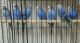 Parakeet Birds for sale in New York, NY, USA. price: $30