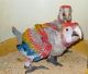 Parrot Birds for sale in Long Beach, CA, USA. price: NA