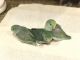 Parrotlet Birds for sale in Dallas, TX, USA. price: NA