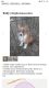 Pembroke Welsh Corgi Puppies for sale in Huntsville, AR 72740, USA. price: $900