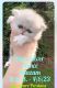 Persian Cats for sale in 237 Cleveland Ave, Hartwell, GA 30643, USA. price: NA