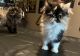 Persian Cats for sale in 9959 Mulberry Ct, Northville, MI 48167, USA. price: NA