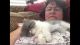 Persian Cats for sale in San Clemente, CA, USA. price: NA