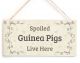 Pig Animals for sale in Guthrie, OK, USA. price: NA