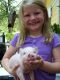 Pig Animals for sale in Fresno, CA, USA. price: NA