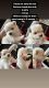 Pomeranian Puppies for sale in Fontana, CA 92335, USA. price: $700