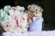 Pomeranian Puppies for sale in Oakland Park, FL, USA. price: NA