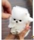 Pomeranian Puppies for sale in Afton, WY 83110, USA. price: NA