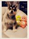 Pomsky Puppies for sale in Dale City, VA, USA. price: $1,500
