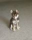 Pomsky Puppies for sale in Westland, MI, USA. price: $3,000