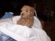 Poodle Puppies for sale in Tiny, ON, Canada. price: NA