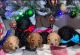 Poodle Puppies for sale in Zebulon, NC 27597, USA. price: $1,200