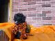 Poodle Puppies for sale in Bertha, MN 56437, USA. price: NA