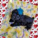 Poodle Puppies for sale in London, KY, USA. price: NA