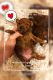 Poodle Puppies for sale in Irvine, CA, USA. price: $2,800