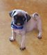 Pug Puppies for sale in San Antonio, TX 78264, USA. price: $800