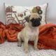 Pug Puppies for sale in Las Vegas, NV, USA. price: $1,000