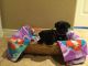 Pug Puppies for sale in Palmdale, CA, USA. price: NA