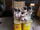 Pug Puppies for sale in Slayton, MN 56172, USA. price: $600