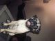 Pug Puppies for sale in Arvada, CO, USA. price: NA