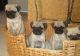 Puggle Puppies for sale in Round Rock, TX, USA. price: NA