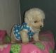 Poodle Puppies for sale in Alexander, IL, USA. price: $300