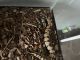 Python Reptiles for sale in Batavia, OH 45103, USA. price: $150