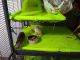 Rat Rodents for sale in Clarksville, TN, USA. price: NA