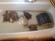 Red-eared slider turtle Reptiles for sale in Los Angeles, CA, USA. price: NA