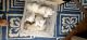 Red Point Siamese Cats for sale in Niles, OH, USA. price: NA