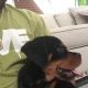 Rottweiler Puppies for sale in New York Ave NW, Washington, DC, USA. price: NA