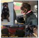 Rottweiler Puppies for sale in Barrington, RI, USA. price: NA