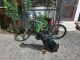Rottweiler Puppies for sale in Moradabad, Uttar Pradesh, India. price: 21000 INR