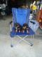 Rottweiler Puppies for sale in Rialto, CA, USA. price: $500