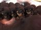 Rottweiler Puppies for sale in McDonough, GA, USA. price: $2,000