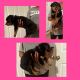 Rottweiler Puppies for sale in Fayetteville, NC, USA. price: $2,500